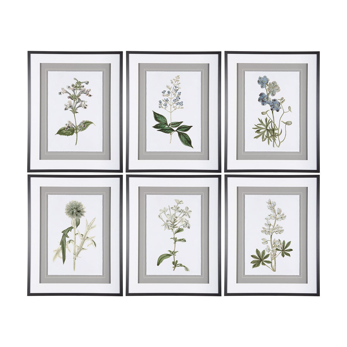 Soft Blue Botanicals VIII — alternate view 5