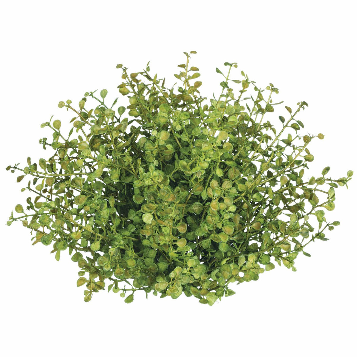 Baby Grass Half Orb
