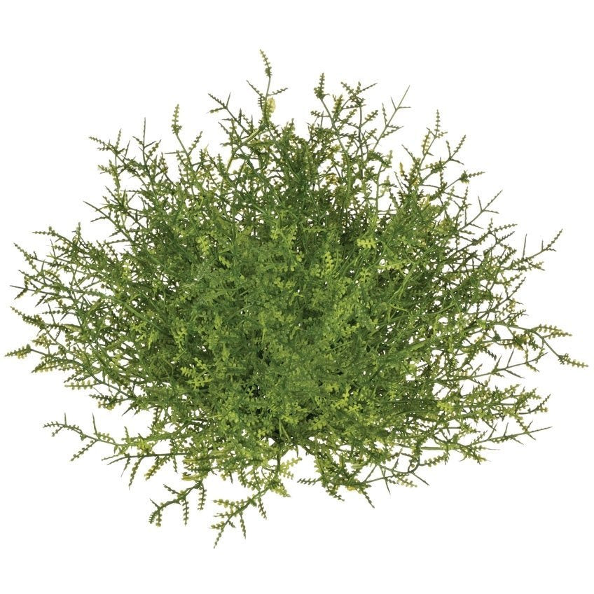 Feather Fern Half Orb — alternate view 2