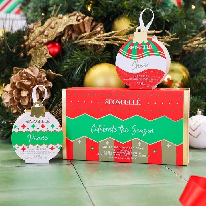 Celebrate the Season Holiday Ornament Gift Set Christmas