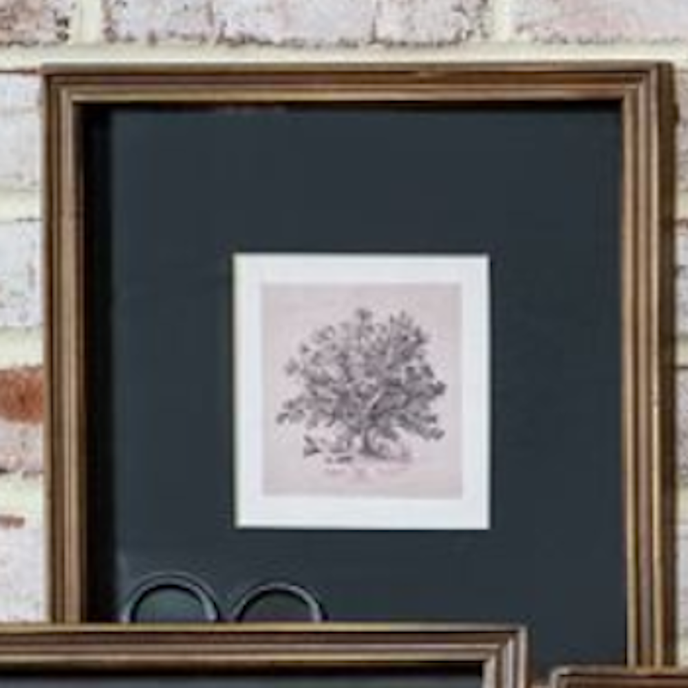Framed foliage art print with a black mat and wooden frame against a brick wall.