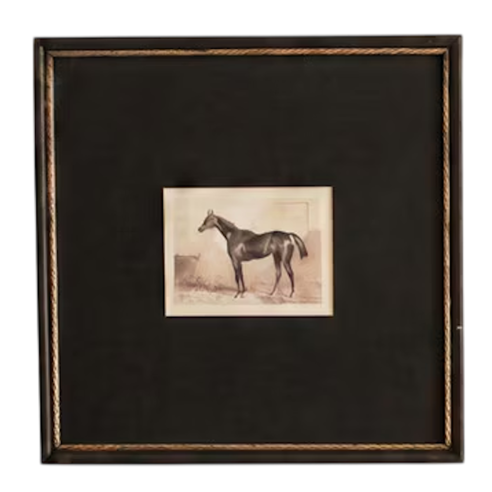 Vintage black and white horse sketch print framed with a dark mat and gold beaded inner trim.