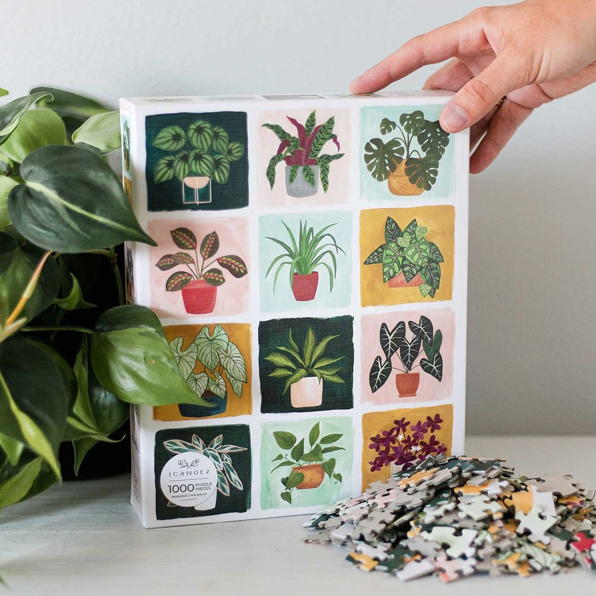 Houseplants Puzzle — alternate view 2