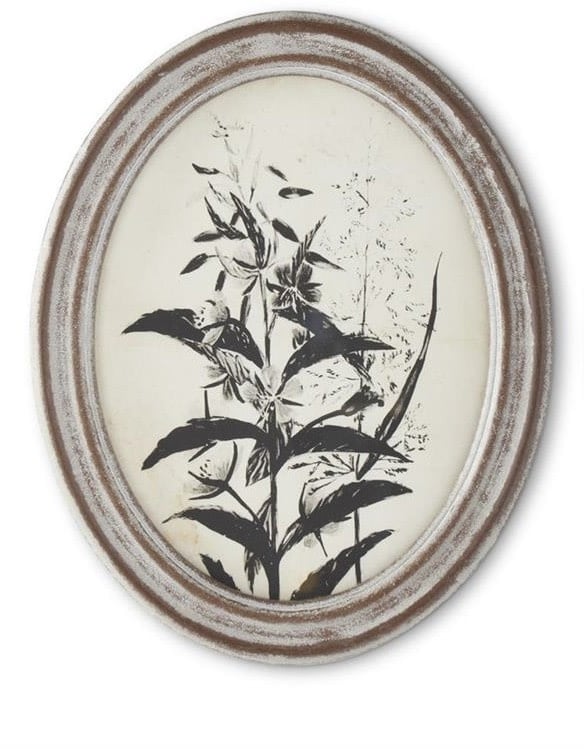 Wood Framed Oval Black & White Botanical Print — alternate view 9
