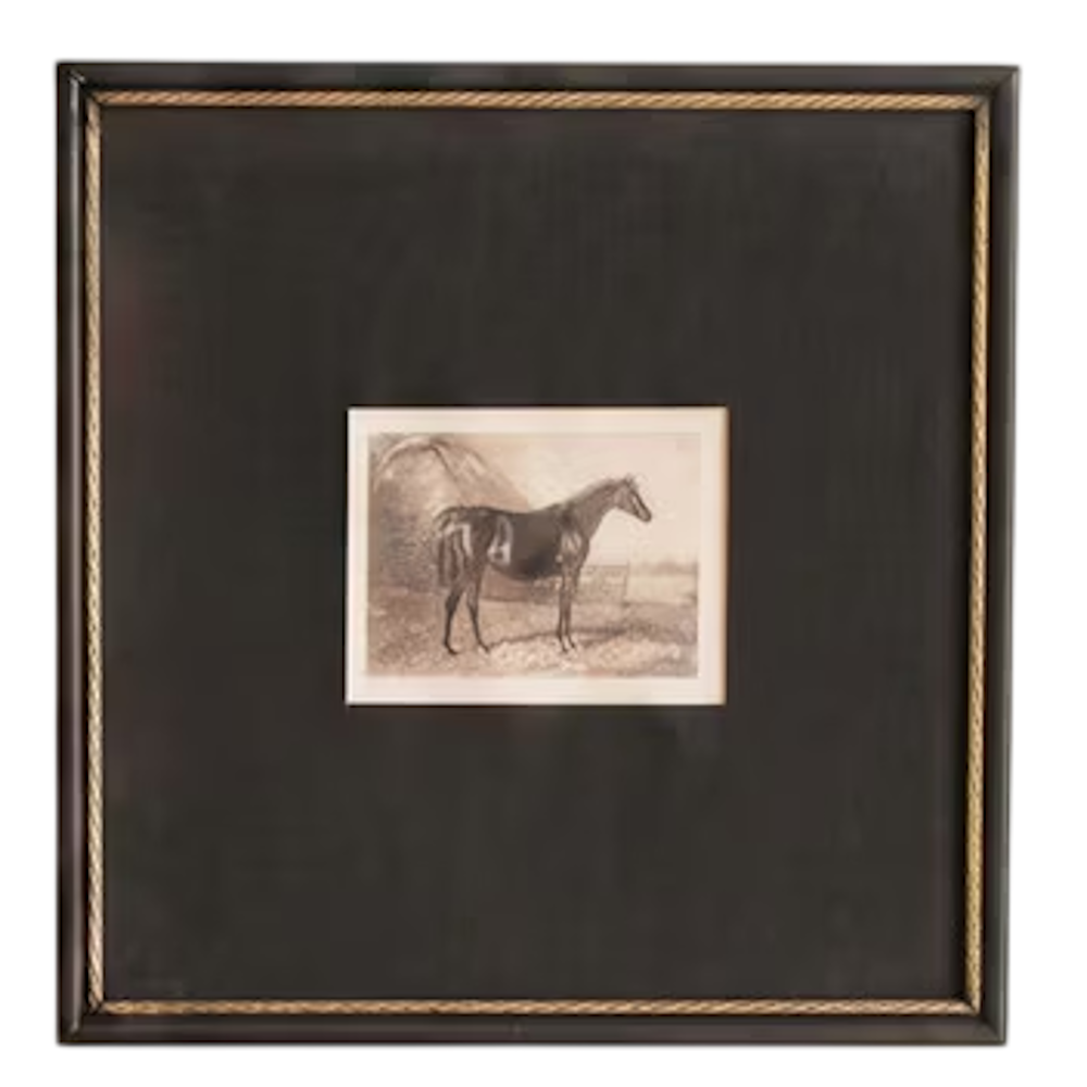 Framed antique black and white horse print with a dark square mat and gold braided inner rim.