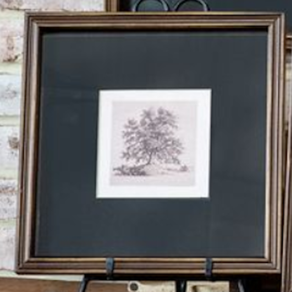 Framed tree sketch with a black mat and wooden frame displayed on an easel.