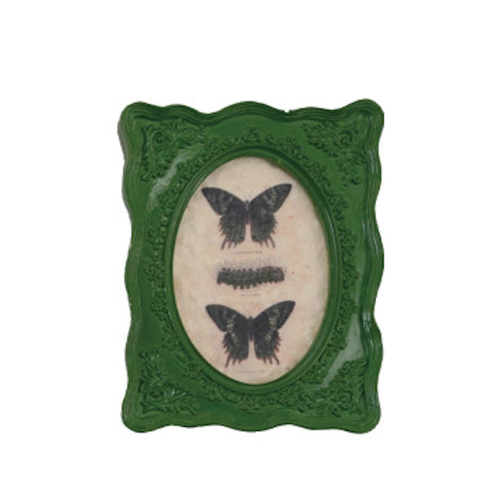 Ornate green mini framed art magnet featuring a vintage butterfly specimen illustration.