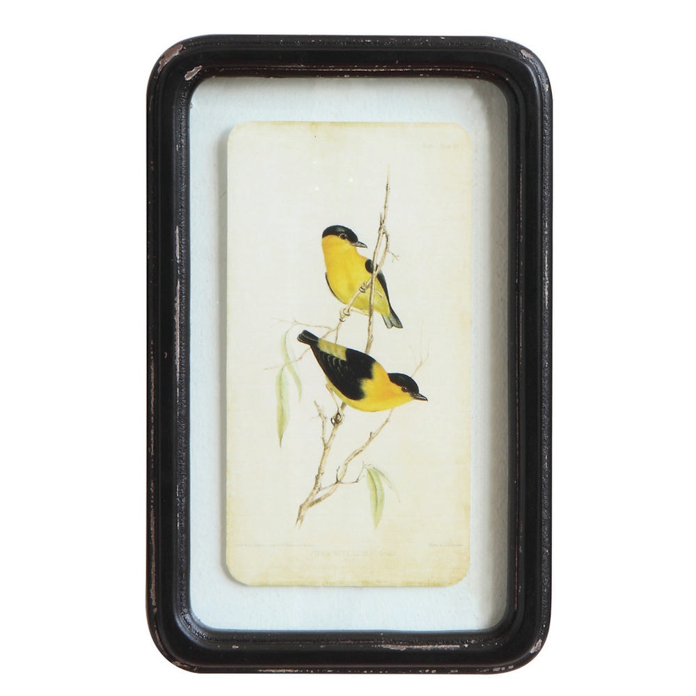 Wood framed glass wall decor with floating art of two yellow and black birds perched on a branch.