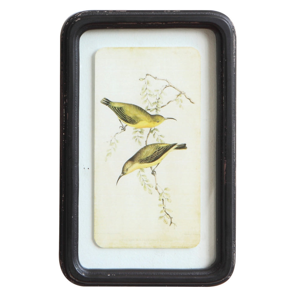 Wood framed glass wall decor featuring floating art of two yellow-green birds perched on leafy branches.