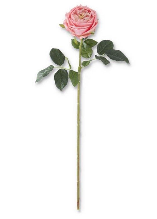 Real Touch Austin Rose Stem