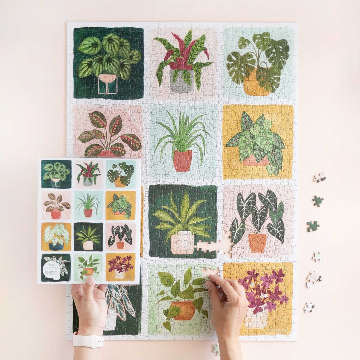 Houseplants Puzzle — alternate view 3