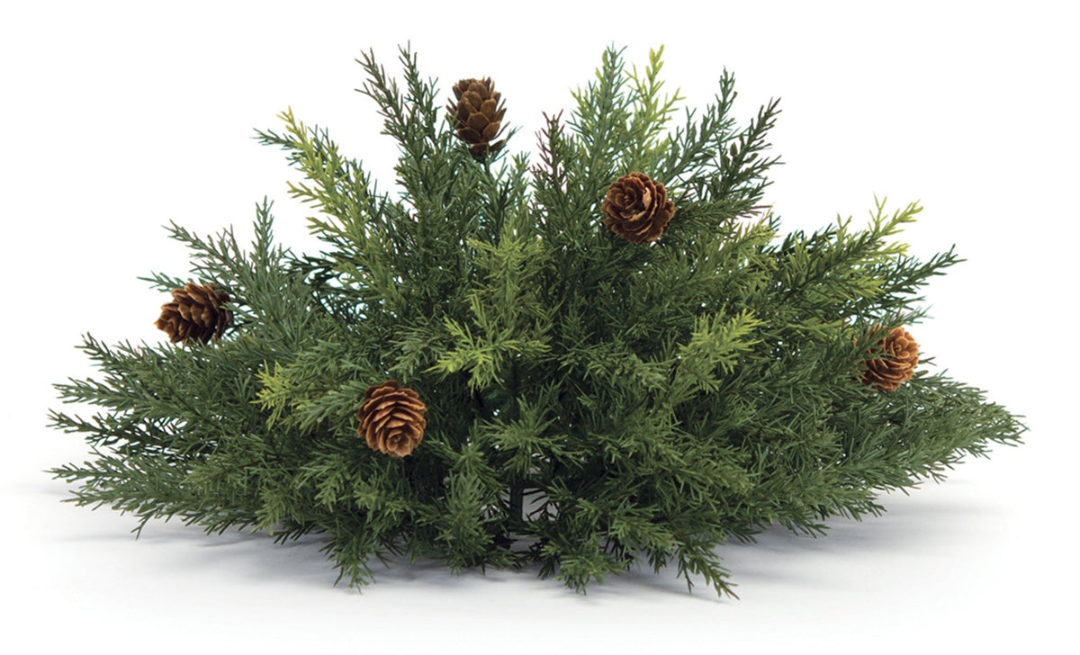 Arborvitae Half Orb
