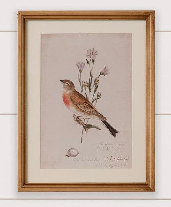 Antique Birds Framed Print — alternate view 6