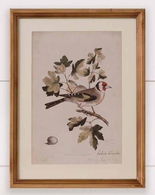 Antique Birds Framed Print (16  x 12) — alternate view 11