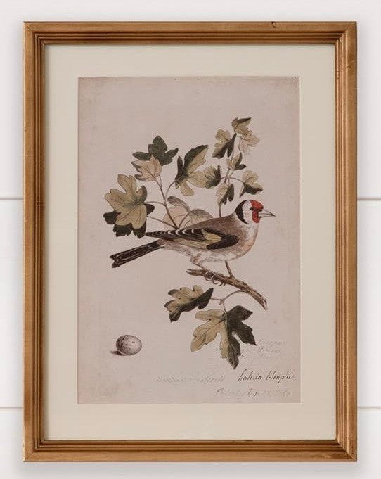 Antique Birds Framed Print — alternate view 4
