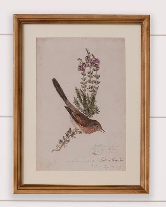 Antique Birds Framed Print (16  x 12) — alternate view 7