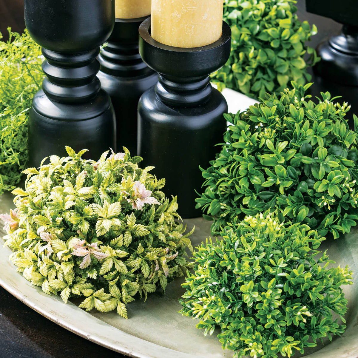 New England Boxwood Half Orb — alternate view 2