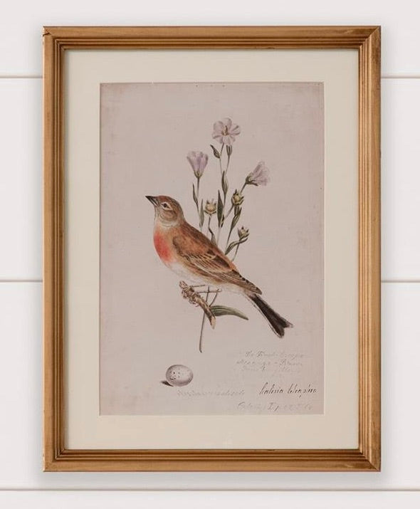 Antique Birds Framed Print (16  x 12) — alternate view 2