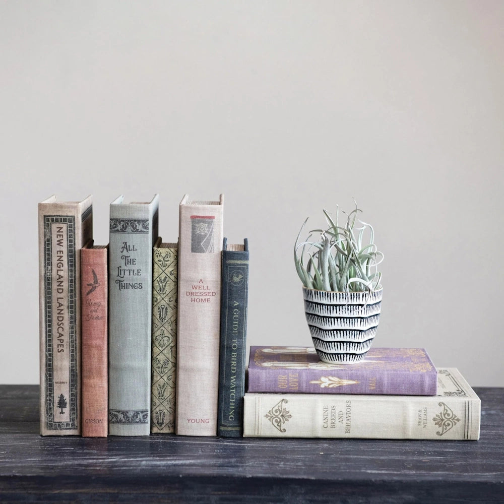 Assorted vintage-style canvas book boxes and a potted air plant arranged on a dark wood shelf for home decor.