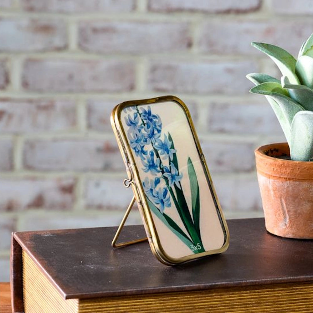 Antique brass photo frame with blue hyacinth art on a vintage book next to a potted succulent against a brick wall.