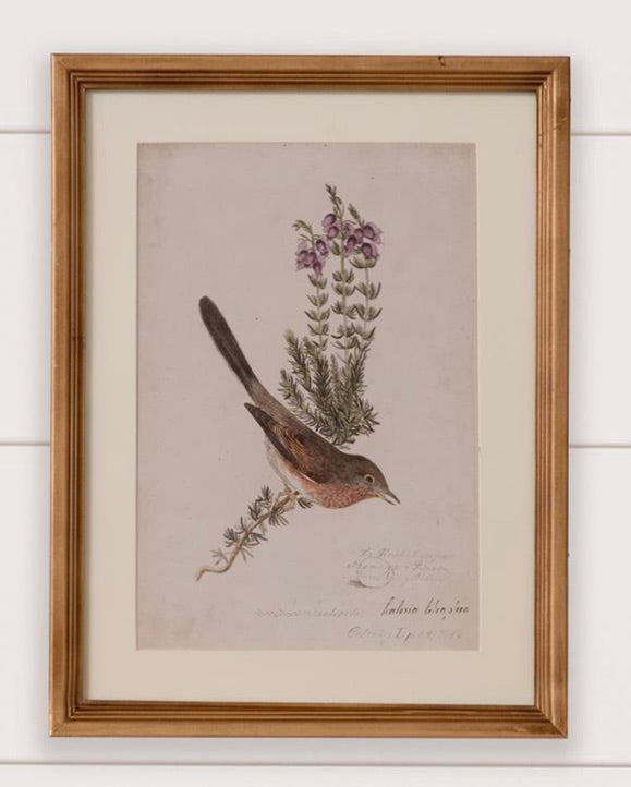 Antique Birds Framed Print (16  x 12) — alternate view 3