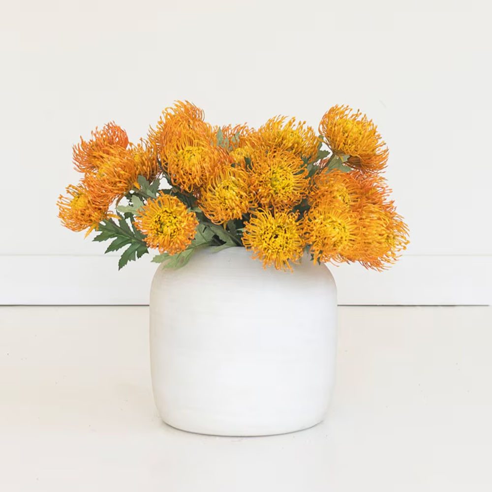 Vibrant orange pincushion protea flowers arranged in a round white ceramic vase against a white backdrop.