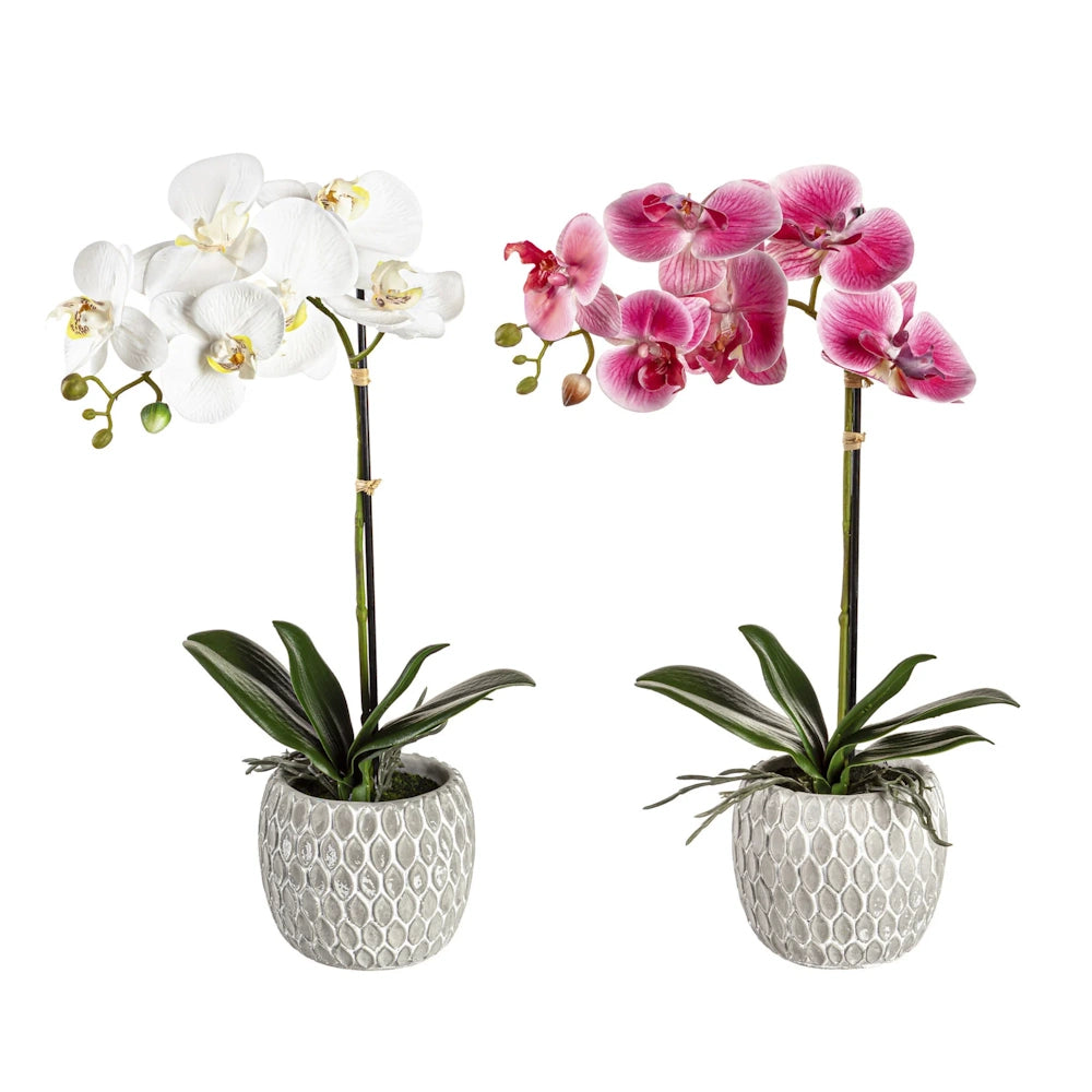 Front view of artificial white and pink orchids in grey ceramic pots.