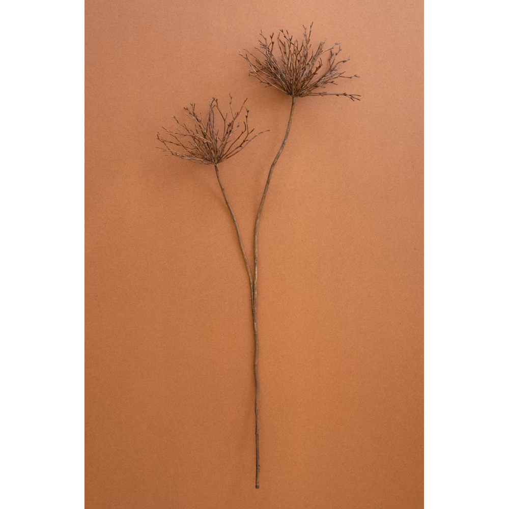 Artificial brown spider branch stem with two fan-like sprig clusters on a terracotta backdrop.
