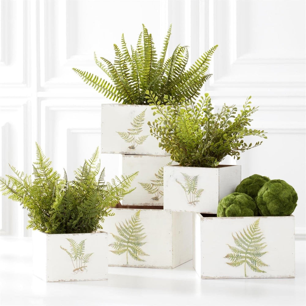 Assorted artificial ferns and moss balls in white wooden crates with botanical fern prints on a white background.