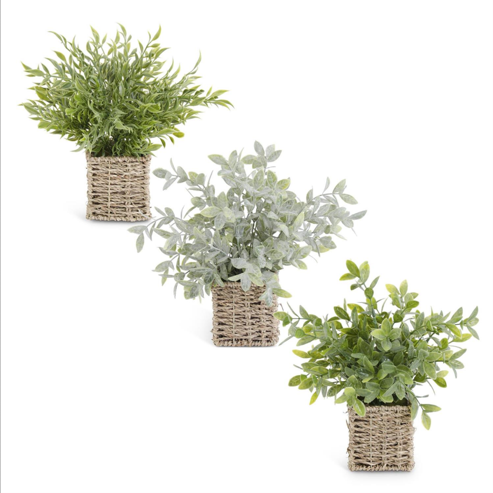 Three small artificial green herb plants in square woven wicker baskets on a white background.