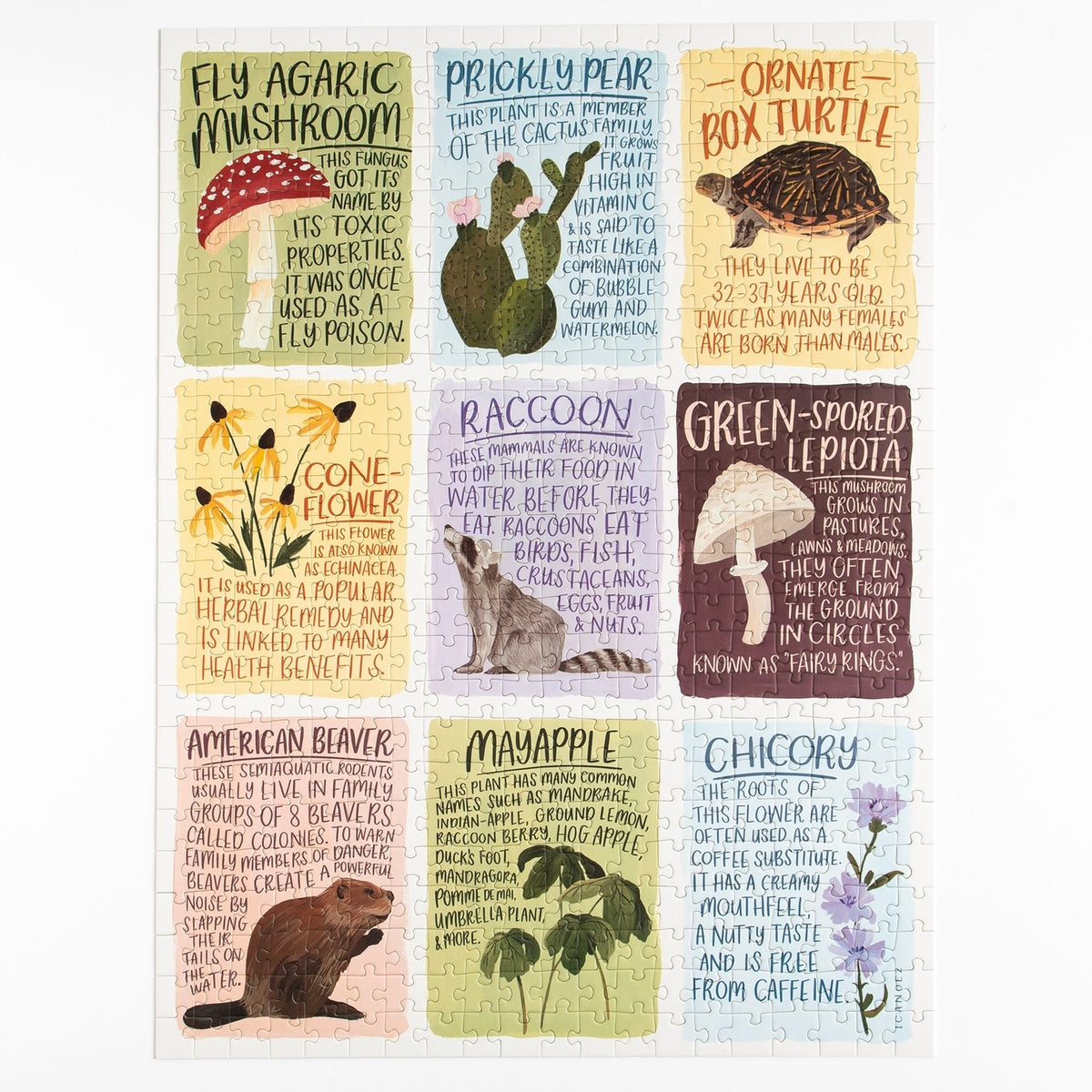 Flora & Fauna Facts - 500 Piece Jigsaw Puzzle — alternate view 2