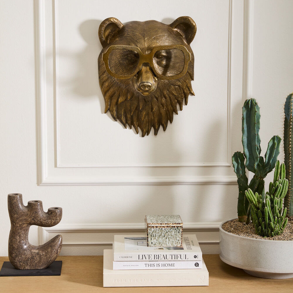 Brass bear head wall mount wearing large glasses, mounted above a shelf with books and potted cacti.