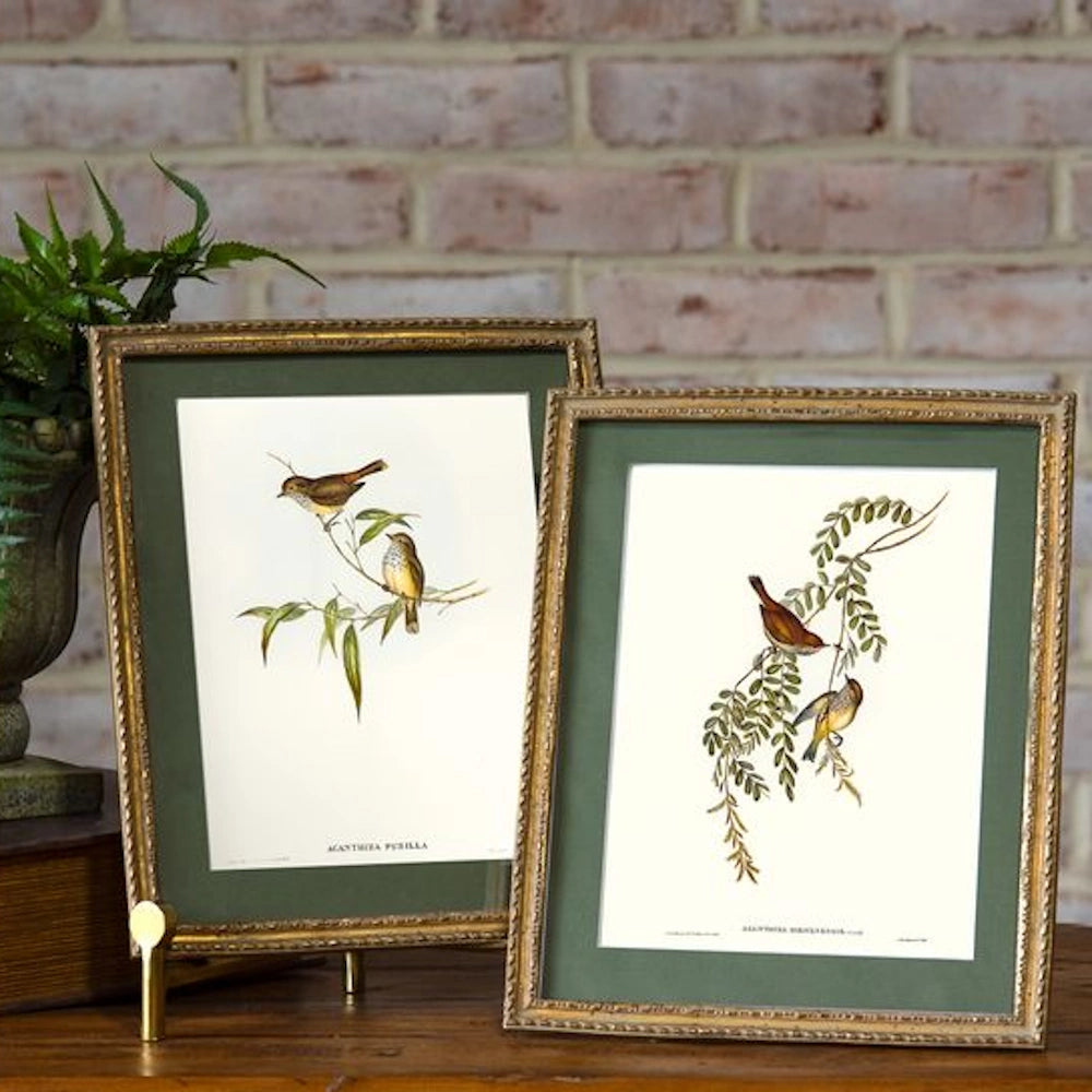 Pair of vintage-style gold framed bird illustrations with green mats, displayed on a wooden surface against a brick wall.