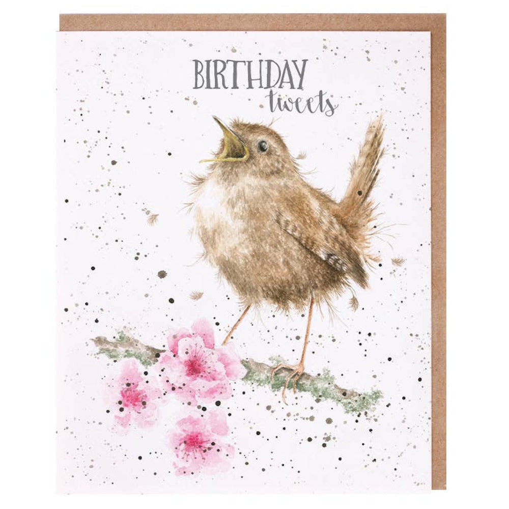 Watercolor illustration of a fuzzy wren on a cherry blossom branch with "Birthday tweets" text and a kraft envelope.