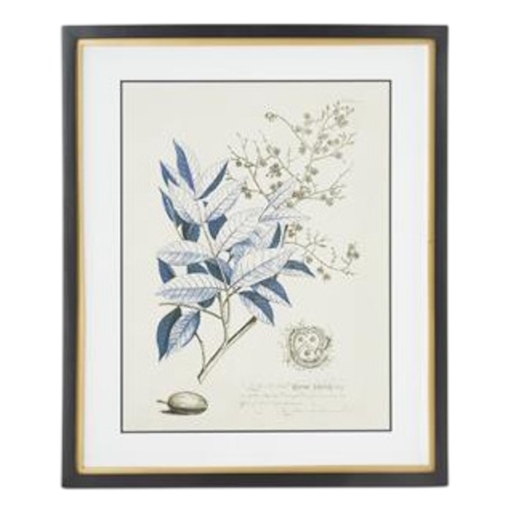 Framed blue and cream botanical leaf print in a black and gold frame with white matting.