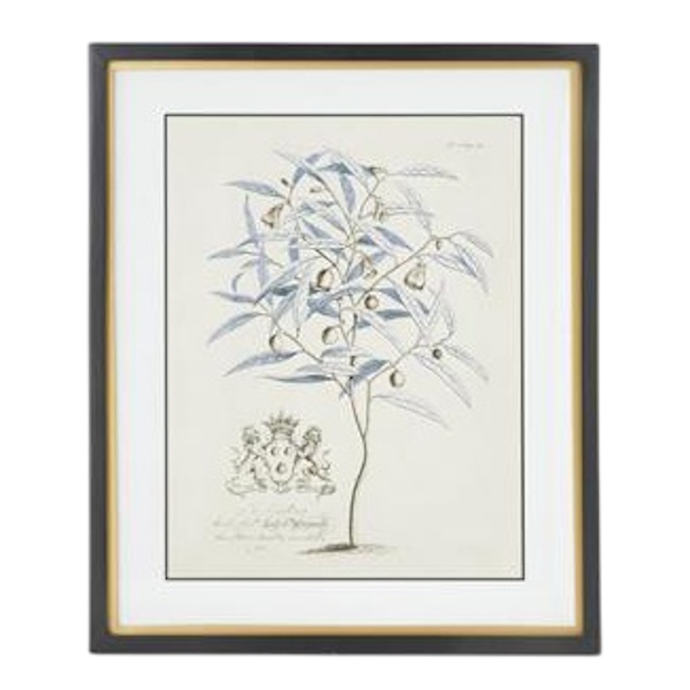 Framed blue arbor botanical print with gold and black border. Vintage tree wall art for home decor.