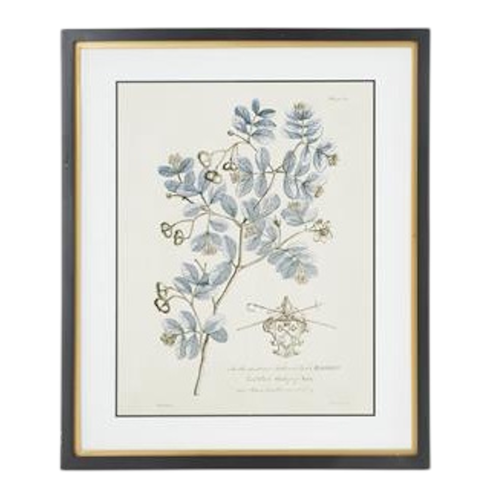 Framed vintage botanical print featuring blue leaves and gold accents in a black frame with a white mat.