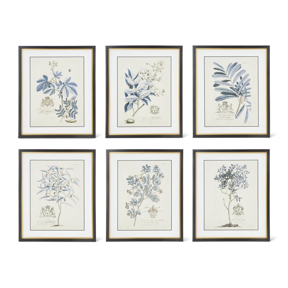 Set of 6 blue botanical arbor prints in black and gold frames with white matting.