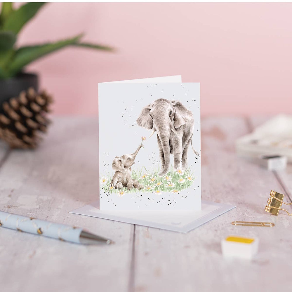 Watercolor illustration of an elephant and calf in a daisy field on a gift enclosure card with a matching envelope.