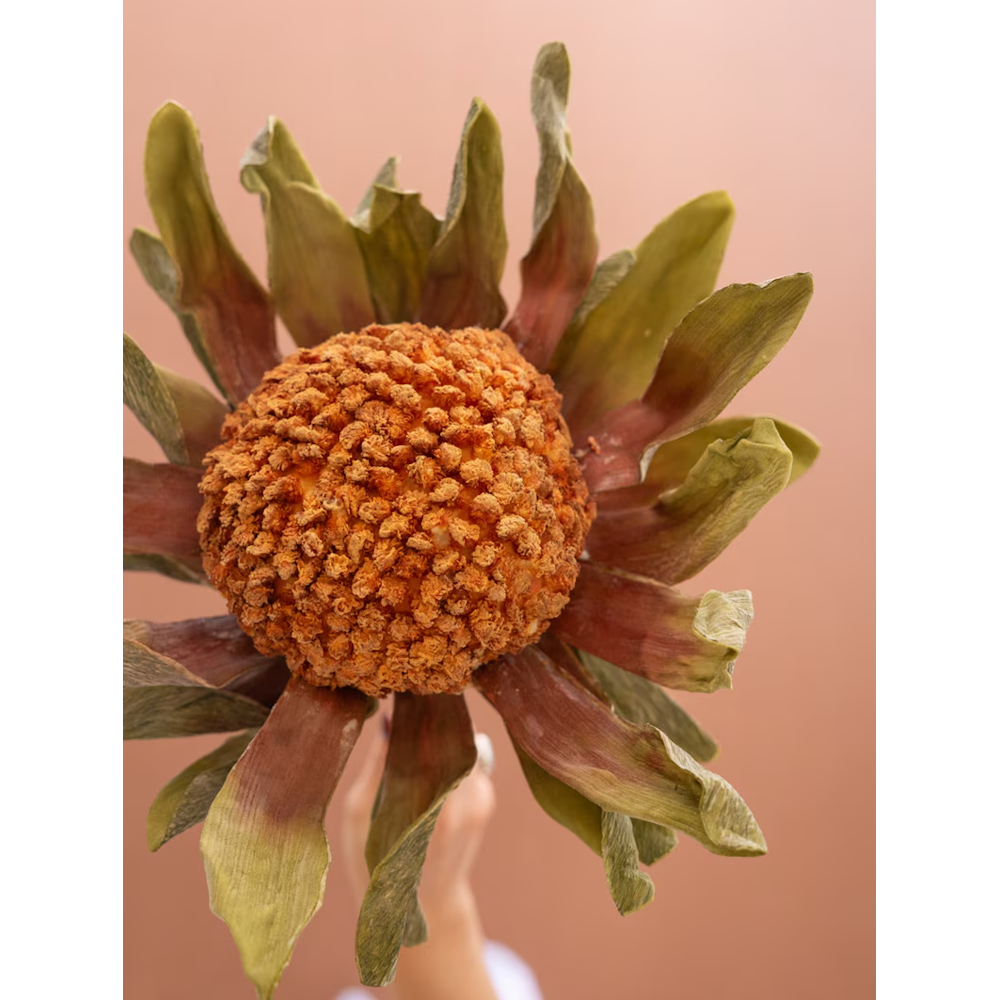 Hand holding an artificial orange protea bloom up close against a warm terracotta background.