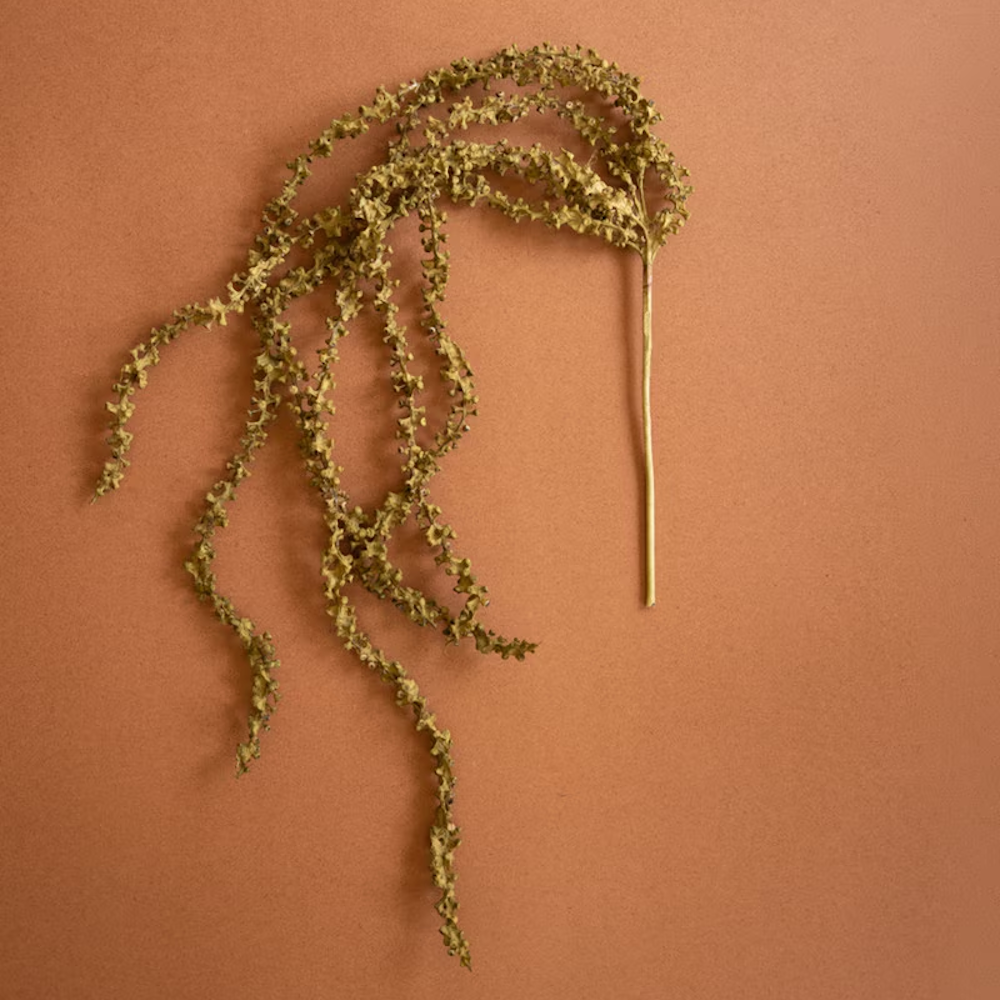 Faux dried amaranthus stem with hanging tendrils displayed against a terracotta backdrop.