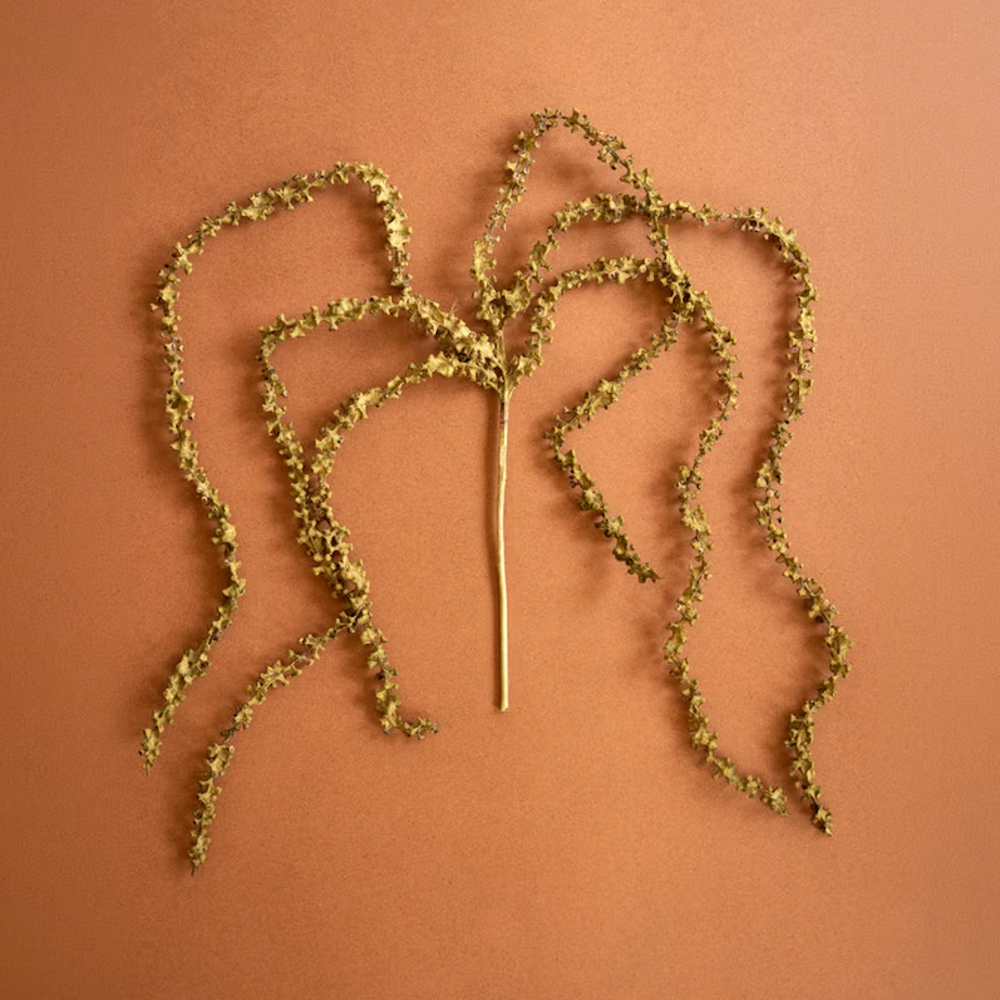 Faux dried amaranthus stem with fan-spread cascading tendrils on a terracotta background.