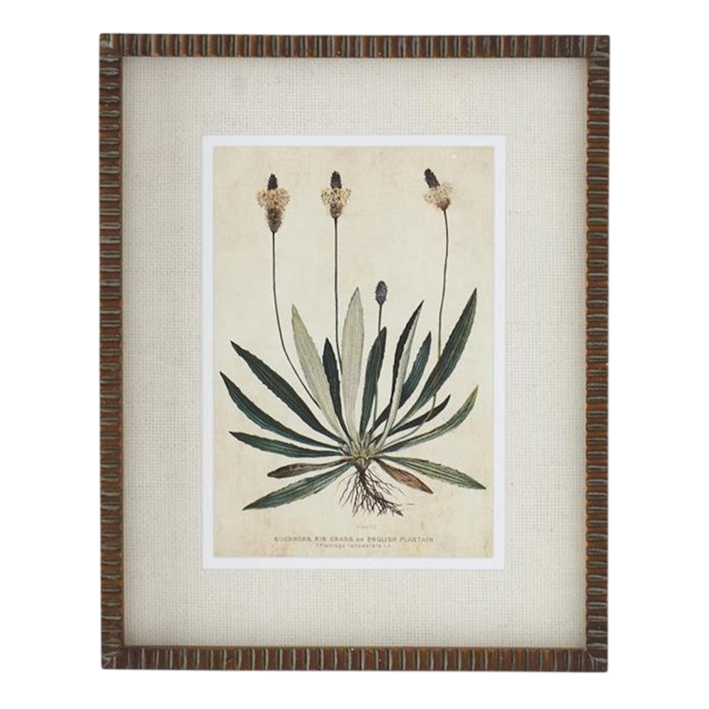 Broadleaf Weed Print with Ribbed Frame - 4 Styles — alternate view 3