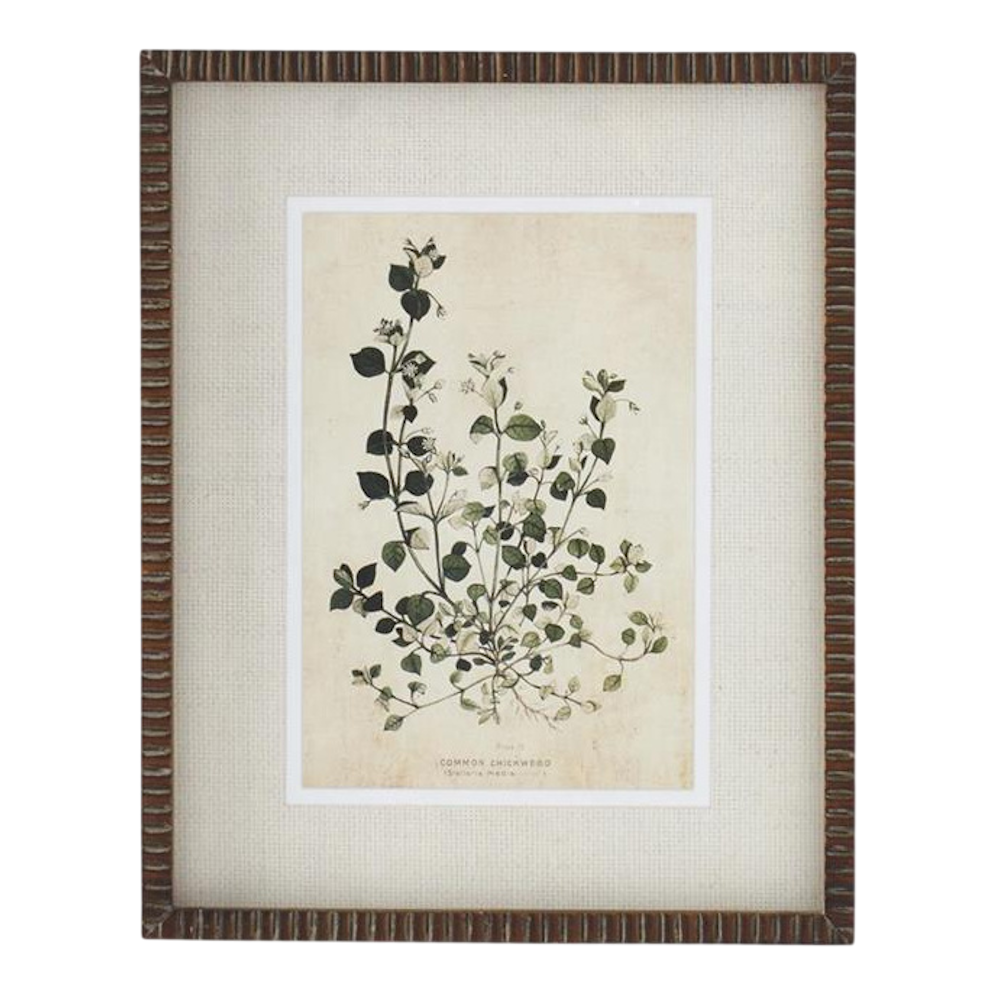 Broadleaf Weed Print with Ribbed Frame - 4 Styles — alternate view 4