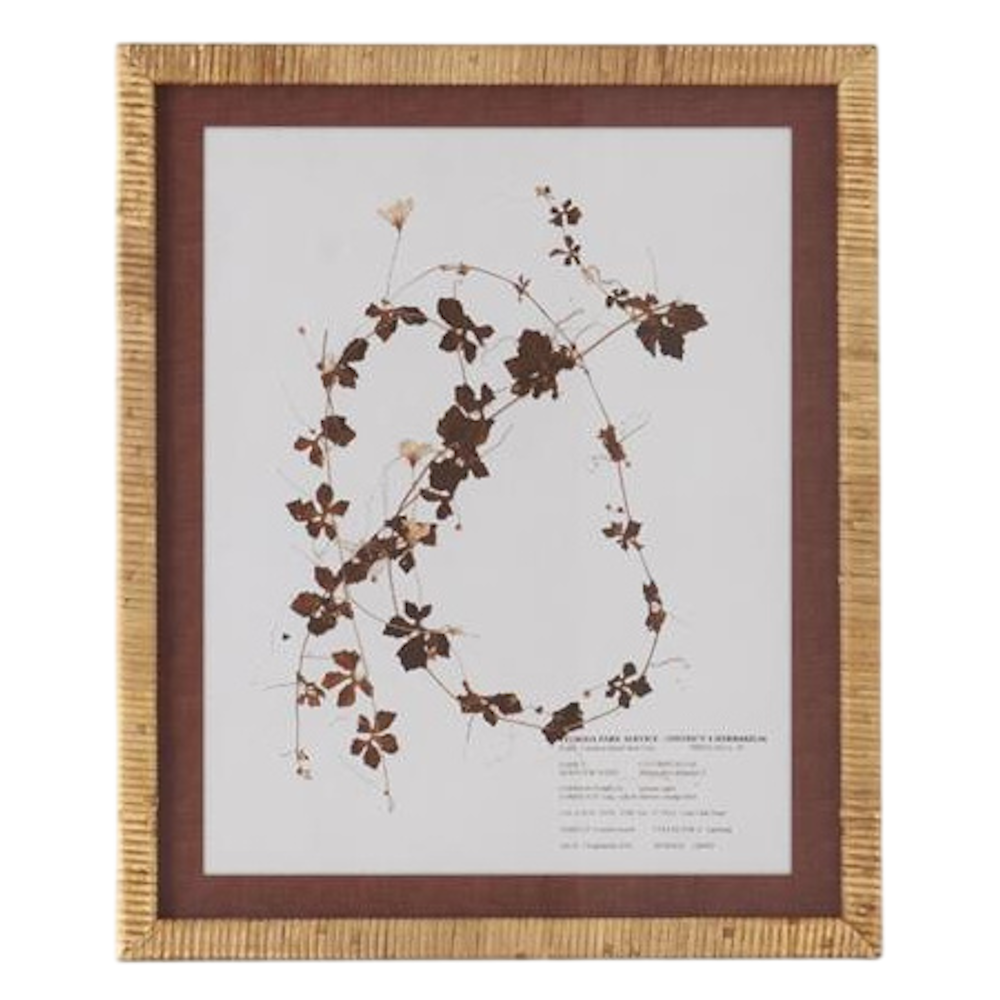 Brown & White Fern Print with Rattan Wrapped Frame - 4 Styles — alternate view 3