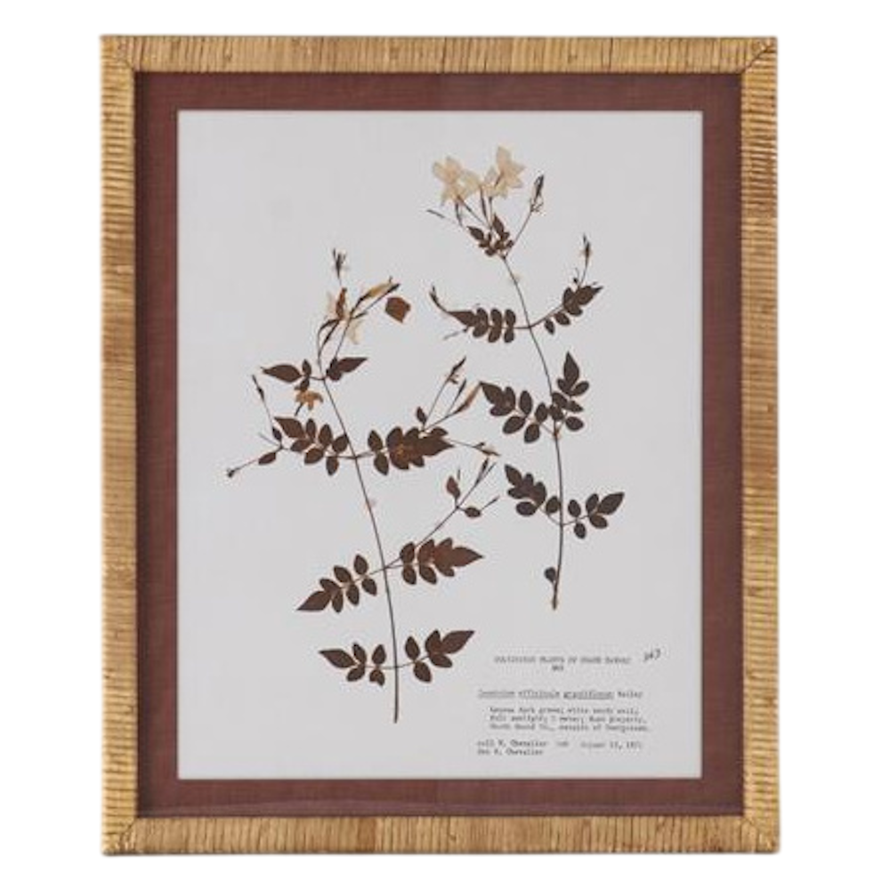 Brown & White Fern Print with Rattan Wrapped Frame - 4 Styles — alternate view 4