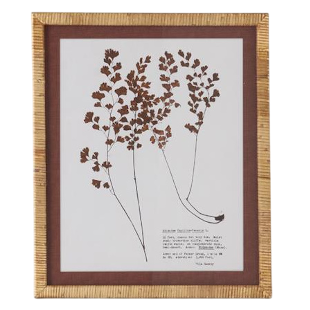 Brown & White Fern Print with Rattan Wrapped Frame - 4 Styles — alternate view 5