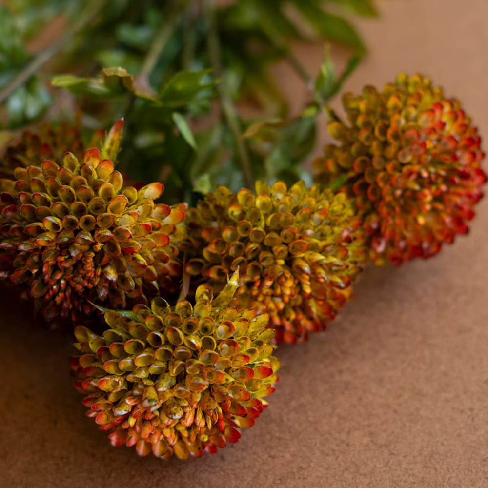 Close-up view of artificial auburn ball dahlia flowers showing layered yellow-and-red petals.