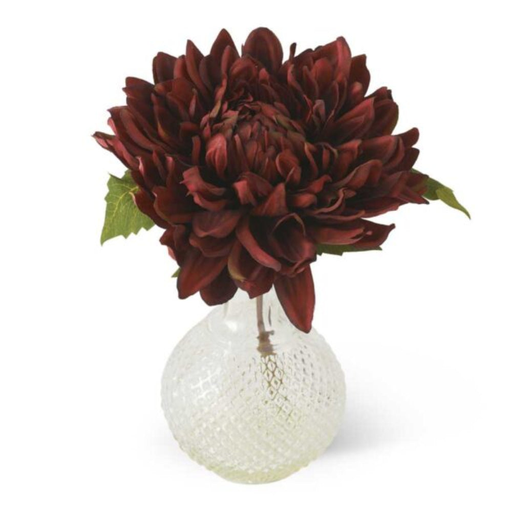 A single deep burgundy dahlia flower with green leaves in a textured clear glass vase on a white backdrop.
