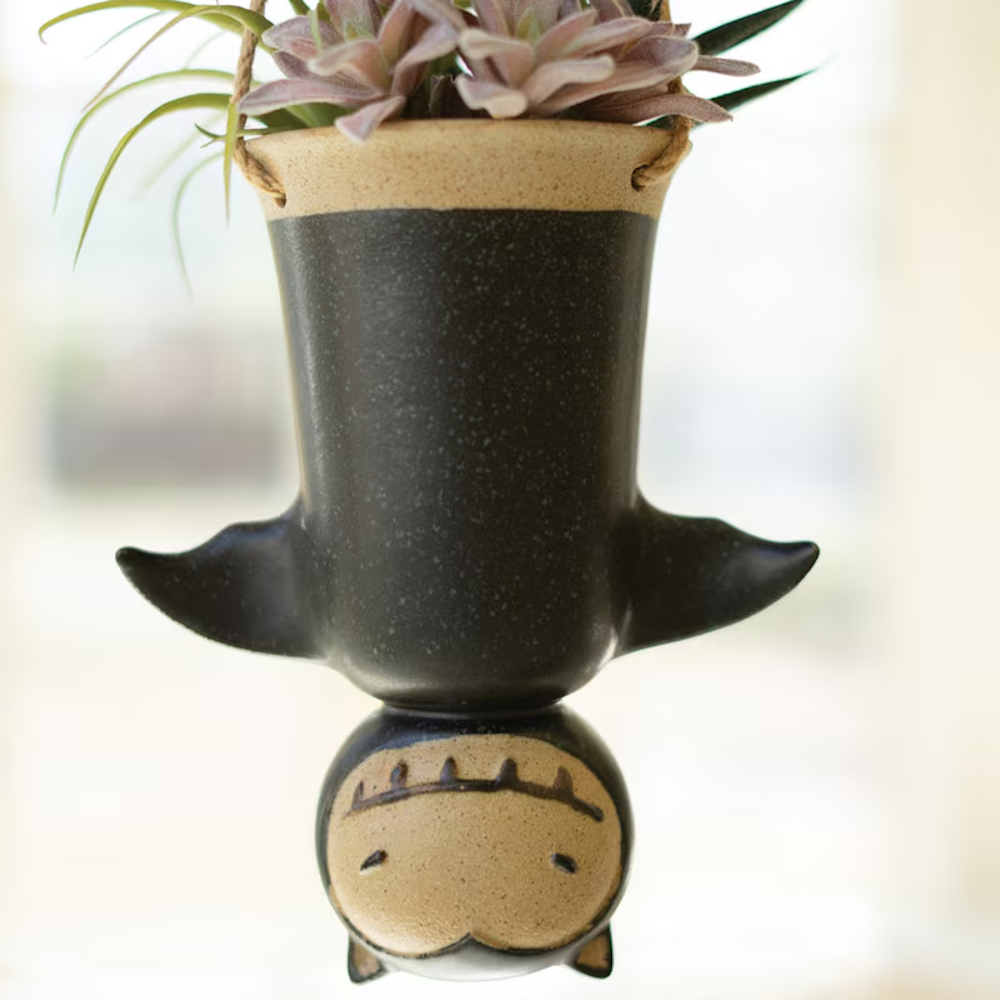 Hanging upside-down black ceramic bat planter with a small succulent plant.
